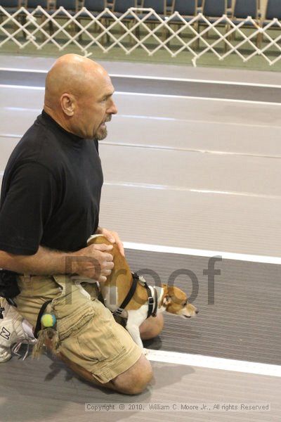 IMG_9052.jpg - Dawg Derby Flyball TournementJuly 11, 2010Classic CenterAthens, Ga