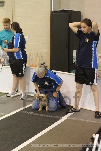 IMG_9068.jpg - Dawg Derby Flyball TournementJuly 11, 2010Classic CenterAthens, Ga