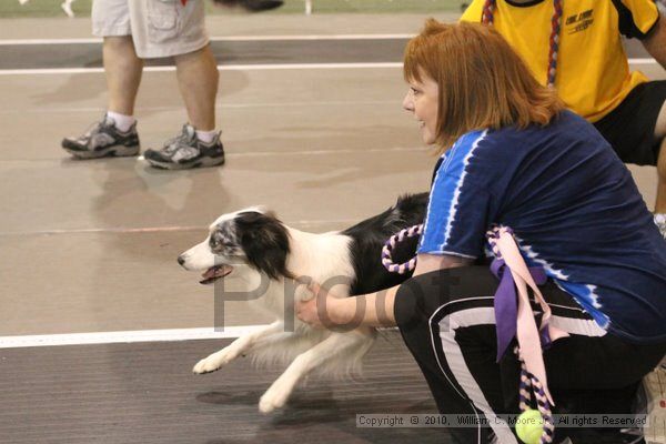 IMG_9071.jpg - Dawg Derby Flyball TournementJuly 11, 2010Classic CenterAthens, Ga