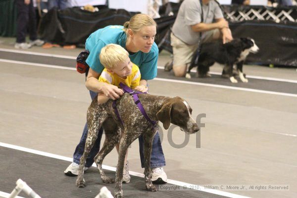IMG_9078.jpg - Dawg Derby Flyball TournementJuly 11, 2010Classic CenterAthens, Ga