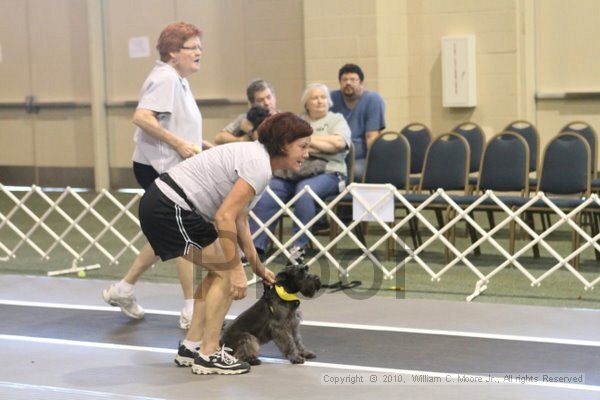 IMG_9104.jpg - Dawg Derby Flyball TournementJuly 11, 2010Classic CenterAthens, Ga