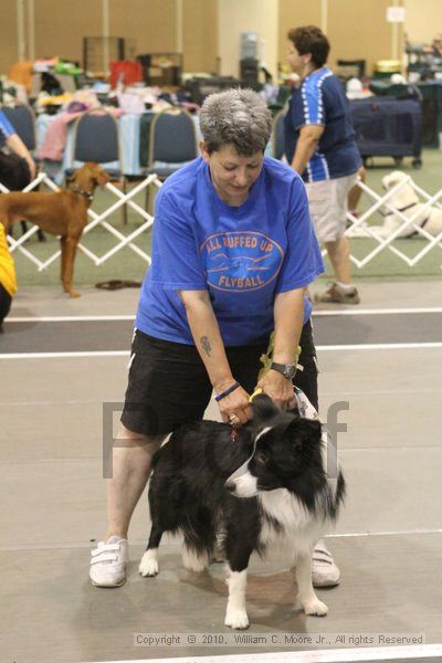 IMG_9112.jpg - Dawg Derby Flyball TournementJuly 11, 2010Classic CenterAthens, Ga