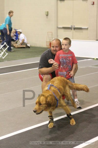 IMG_9117.jpg - Dawg Derby Flyball TournementJuly 11, 2010Classic CenterAthens, Ga
