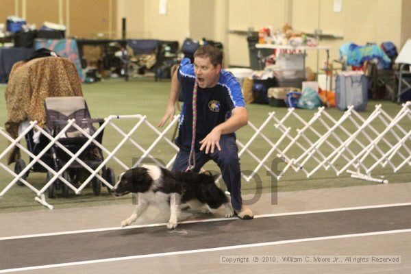 IMG_9123.jpg - Dawg Derby Flyball TournementJuly 11, 2010Classic CenterAthens, Ga