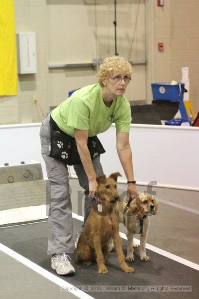 IMG_9152.jpg - Dawg Derby Flyball TournementJuly 11, 2010Classic CenterAthens, Ga