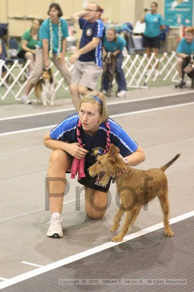 IMG_9178.jpg - Dawg Derby Flyball TournementJuly 11, 2010Classic CenterAthens, Ga
