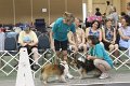 IMG_9153