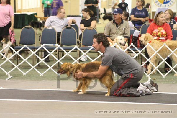 IMG_9266.jpg - Dawg Derby Flyball TournementJuly 11, 2010Classic CenterAthens, Ga