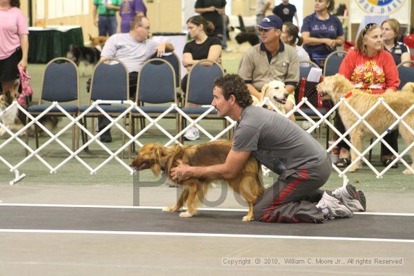 IMG_9267.jpg - Dawg Derby Flyball TournementJuly 11, 2010Classic CenterAthens, Ga