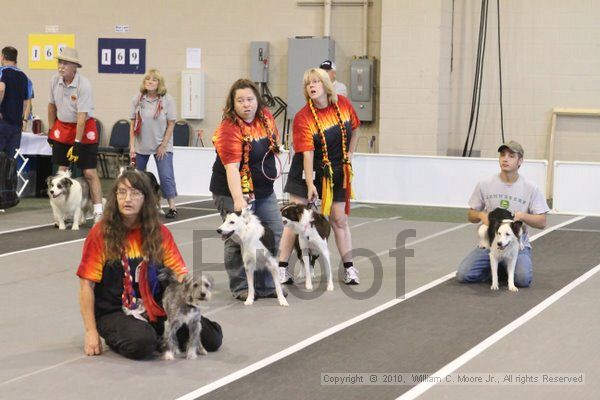 IMG_9272.jpg - Dawg Derby Flyball TournementJuly 11, 2010Classic CenterAthens, Ga