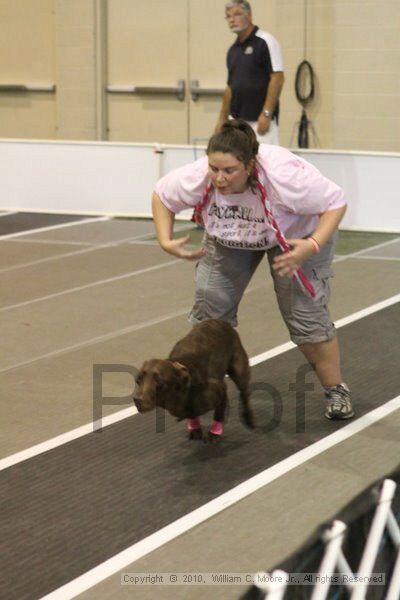 IMG_9295.jpg - Dawg Derby Flyball TournementJuly 11, 2010Classic CenterAthens, Ga