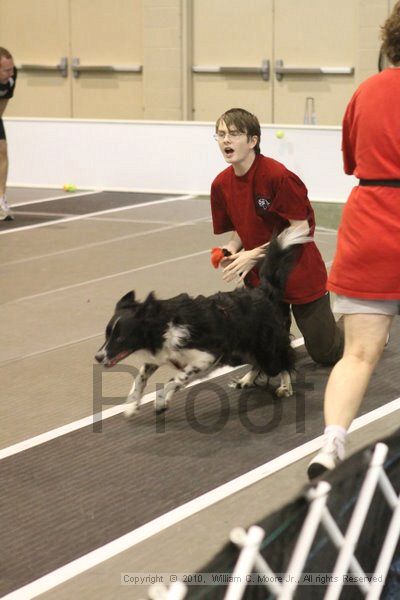 IMG_9325.jpg - Dawg Derby Flyball TournementJuly 11, 2010Classic CenterAthens, Ga