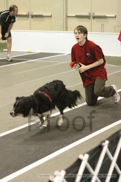 IMG_9326.jpg - Dawg Derby Flyball TournementJuly 11, 2010Classic CenterAthens, Ga
