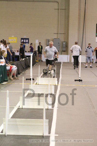IMG_9409.jpg - Dawg Derby Flyball TournementJuly 11, 2010Classic CenterAthens, Ga