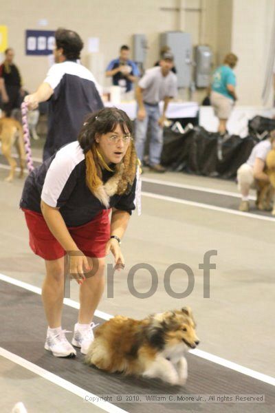 IMG_9492.jpg - Dawg Derby Flyball TournementJuly 11, 2010Classic CenterAthens, Ga