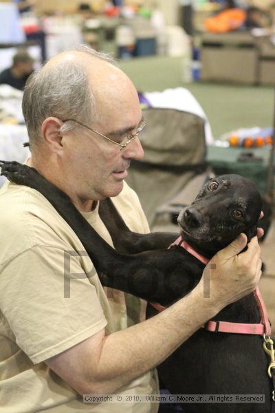 IMG_9092.jpg - Dawg Derby Flyball TournementJuly 11, 2010Classic CenterAthens, Ga