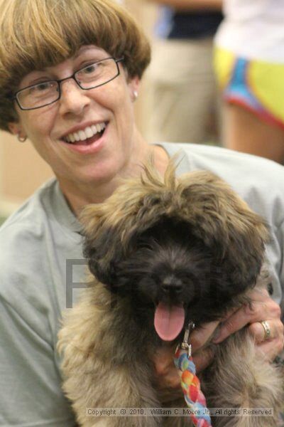 IMG_9190.jpg - Dawg Derby Flyball TournementJuly 11, 2010Classic CenterAthens, Ga