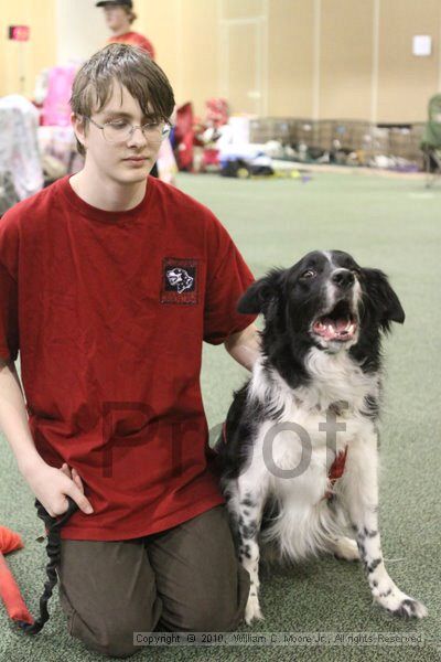 IMG_9532.jpg - Dawg Derby Flyball TournementJuly 11, 2010Classic CenterAthens, Ga