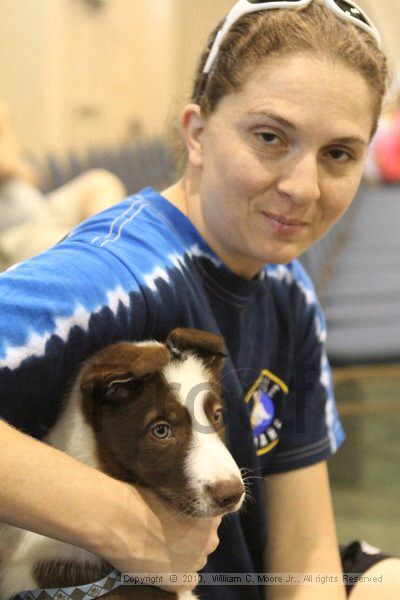 IMG_9580.jpg - Dawg Derby Flyball TournementJuly 11, 2010Classic CenterAthens, Ga