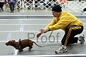 img_0614_thm.jpg