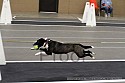 img_0729_thm.jpg