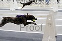img_1022_thm.jpg
