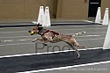 img_1087_thm.jpg