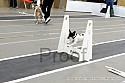 img_1427_thm.jpg