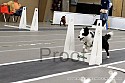 img_1481_thm.jpg