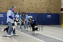 img_1498_thm.jpg