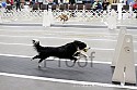 img_1618_thm.jpg