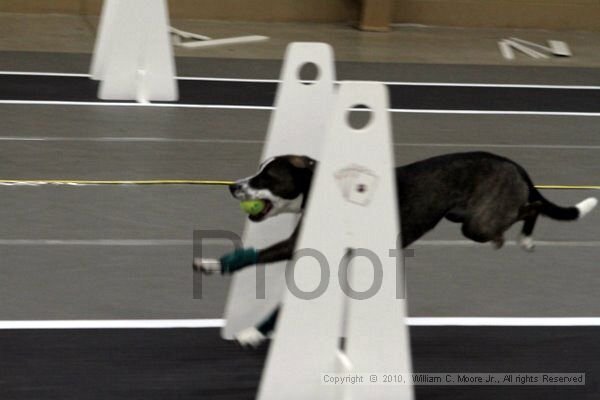 IMG_8994.jpg