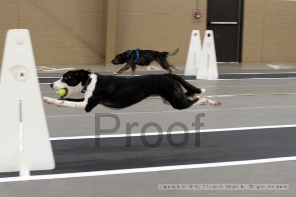 IMG_9048.jpg