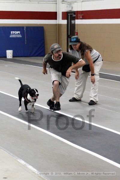 IMG_9220.jpg