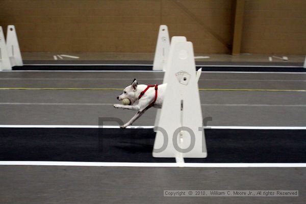 IMG_9261.jpg