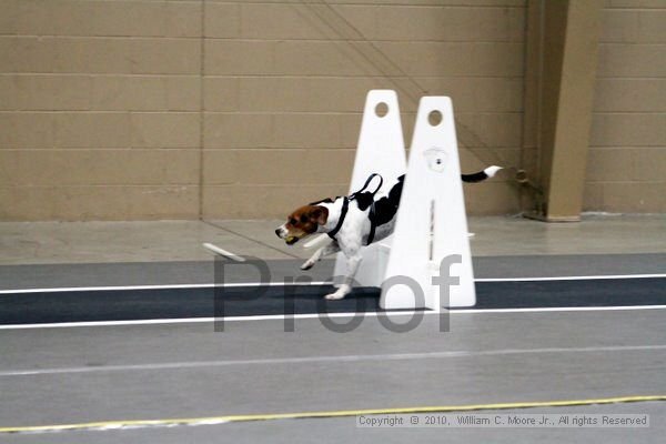 IMG_9331.jpg