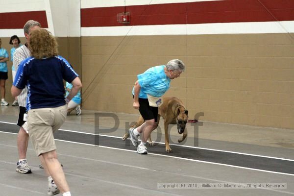 IMG_9366.jpg