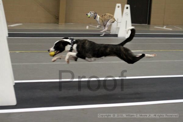 IMG_9374.jpg