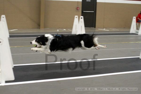 IMG_9408.jpg