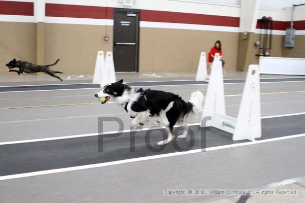 IMG_9429.jpg