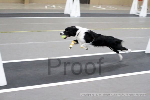 IMG_9470.jpg