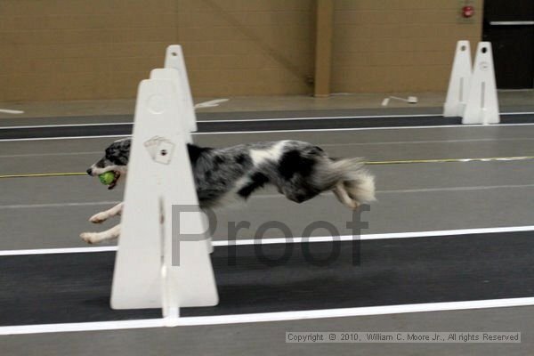 IMG_9567.jpg