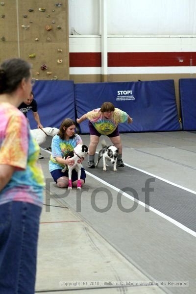 IMG_9581.jpg