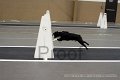 IMG_9501