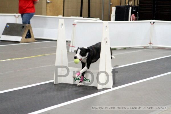 IMG_9602.jpg