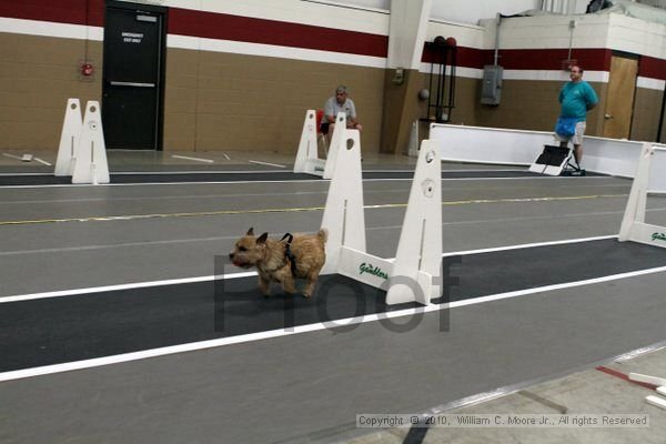 IMG_9635.jpg