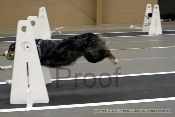 IMG_9658.jpg