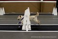 IMG_9633