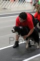 IMG_9762