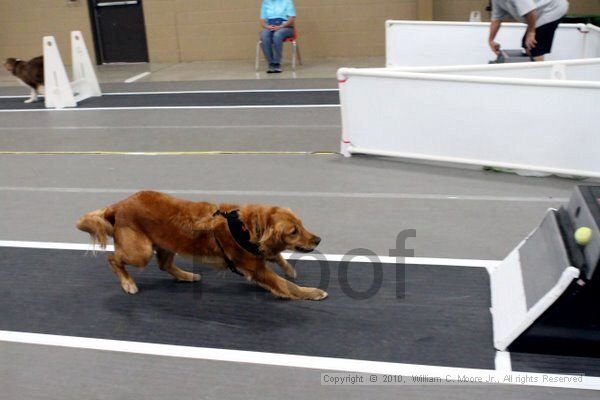 IMG_9824.jpg